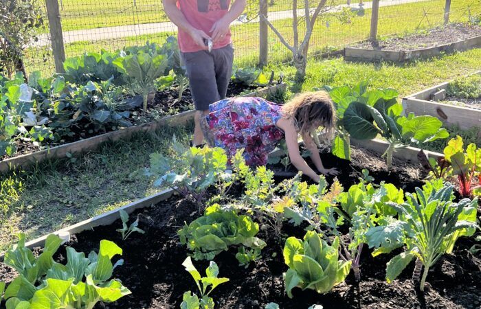 Gift Gardens