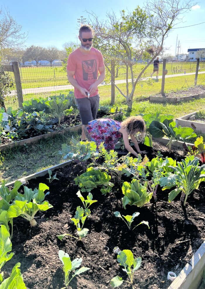 Gift Gardens